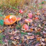 multiple red mushrooms